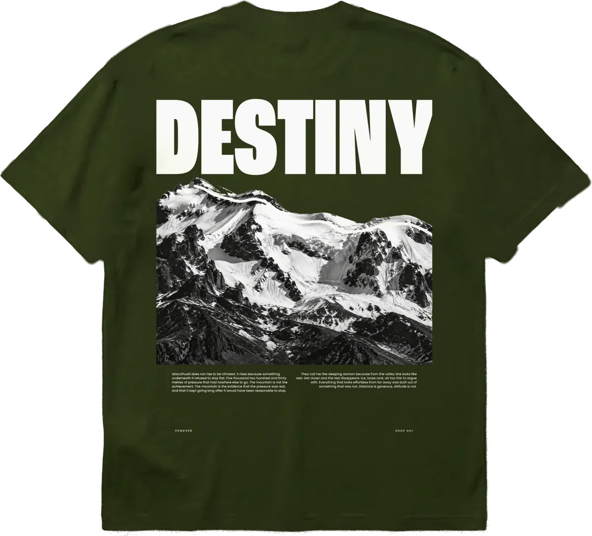 DESTINY, foto 1